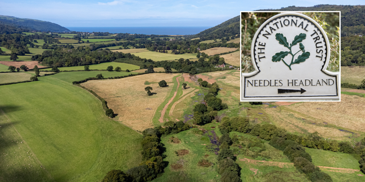 NextImg:Britain's countryside is 'racist space dominated by white people' which 'prevents ethnic minorities from using green spaces'