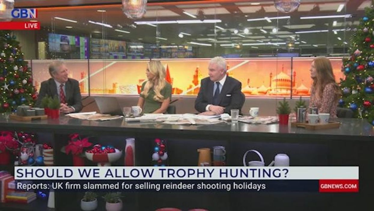 Labour blasted for 'pitting town against country' with fox hunting plans: 'What is the point?'