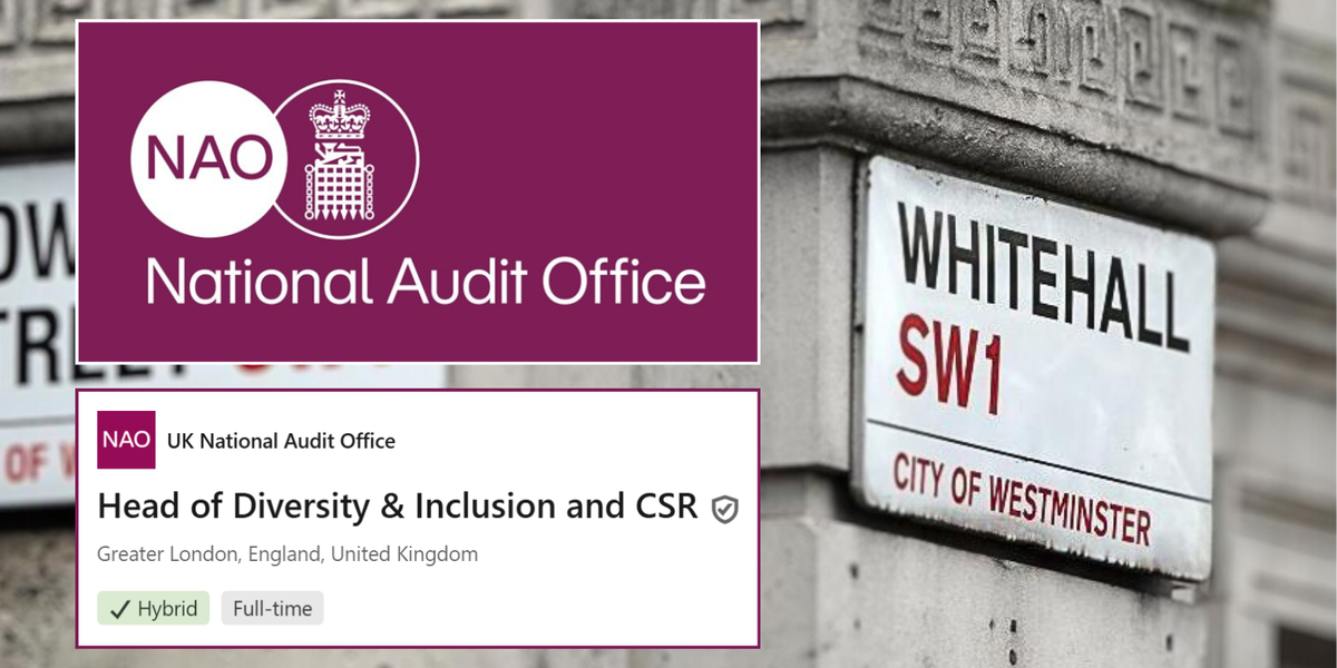 NextImg:Fury as British taxpayers told to pay up for woke £80K 'diversity and inclusion' job - 'Look yourself in the mirror!'