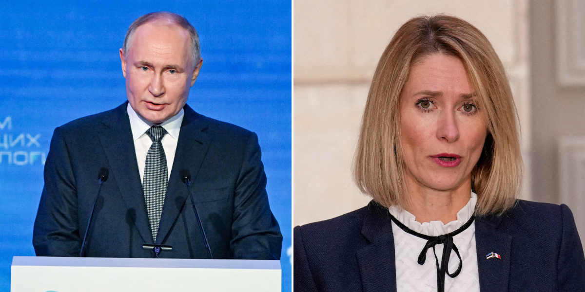 NextImg:Russia places Europe's 'new Iron Lady' on 'wanted list' over destruction of Soviet memorials