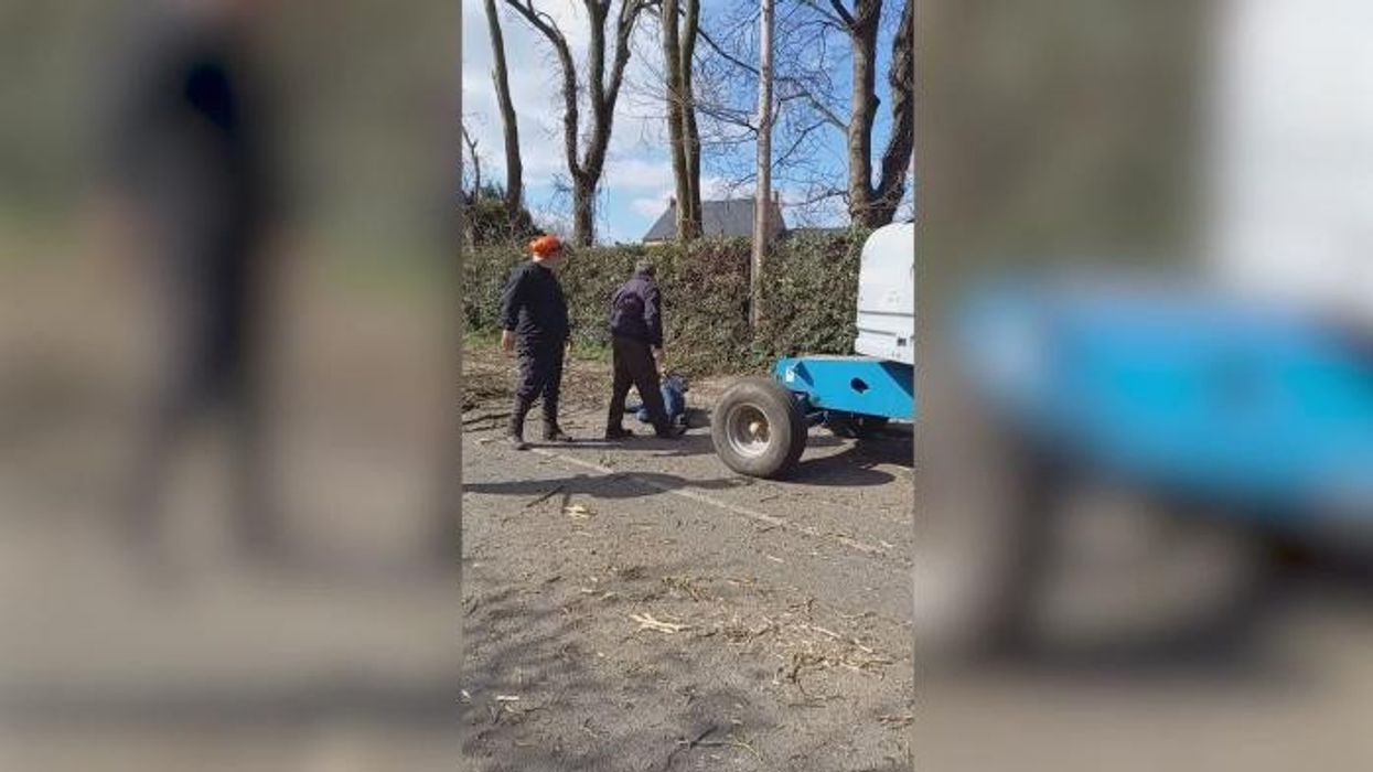 'Tree surgeon of the year' had 'fit of rage' over Wi-Fi and pushed wife down the stairs