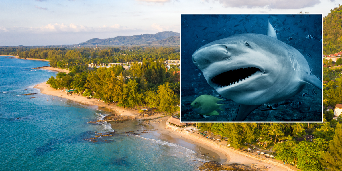 NextImg:Holidaymaker mauled in horrific shark attack as tourist rushed to hospital after creature takes bite out of leg in Thailand