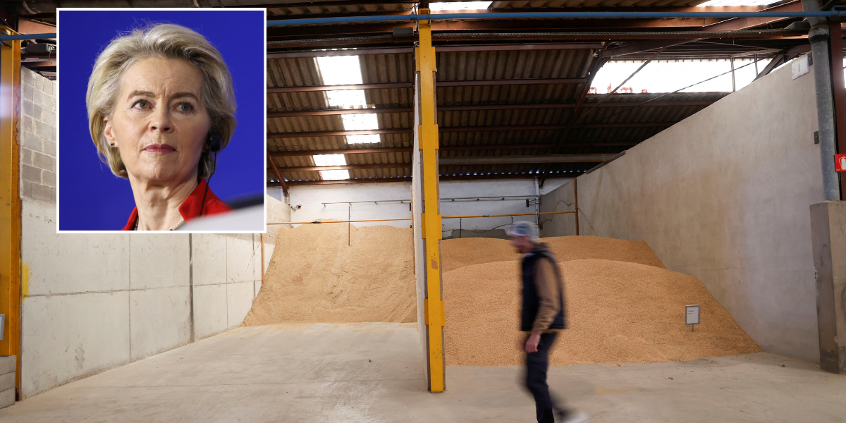 NextImg:British expats suffer huge blow as paella rice could be BANNED under new EU regulations