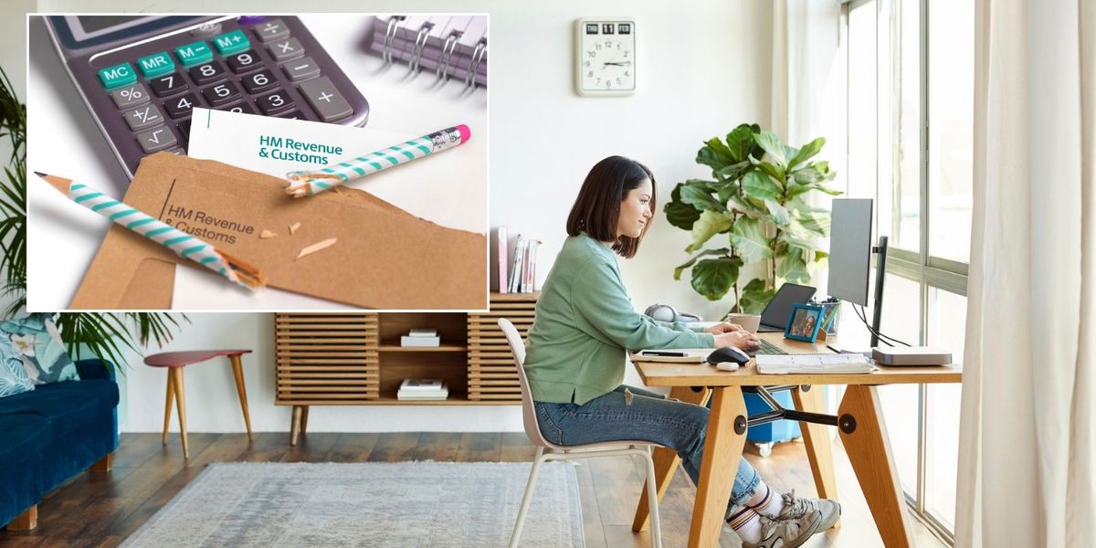 NextImg:HMRC civil servants are gardening, taking the dog for a walk and playing video games while 'at work'
