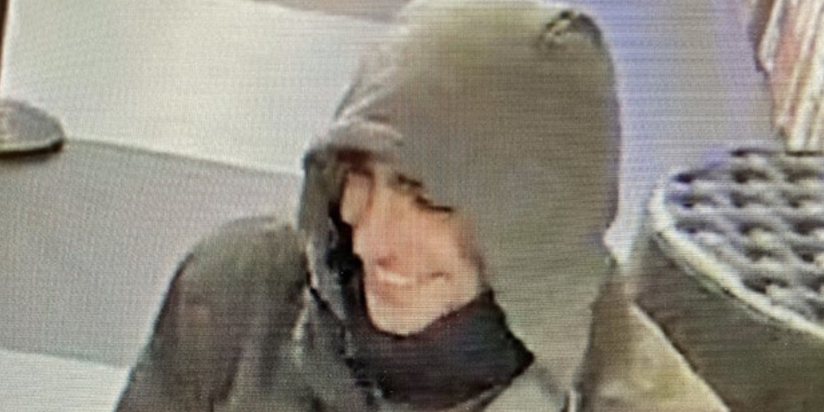 NextImg:American internet sleuths REFUSE to help in hunt for Thompson assassin as police fear killer 'fled New York on bus'