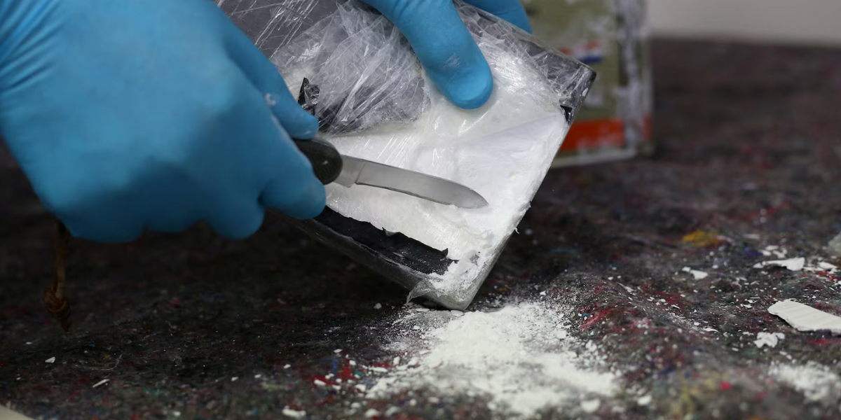NextImg:British tourist who 'fell from sky' has £1.2m insurance claim rejected after taking cocaine and fentanyl
