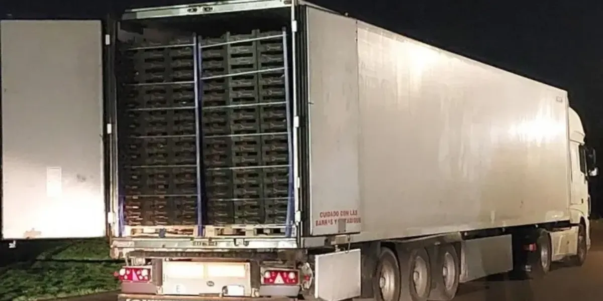 NextImg:Seven migrants found inside lorry among cucumbers after being locked inside for 18 hours
