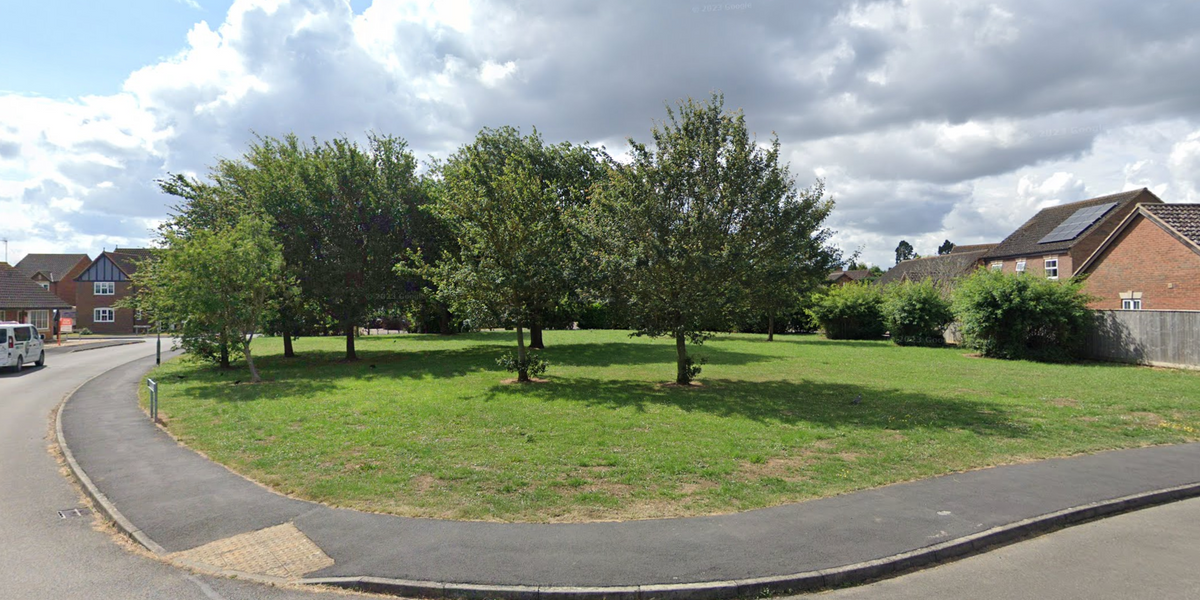NextImg:Council sells off 'underused' plots of land in leafy village for just £1 each