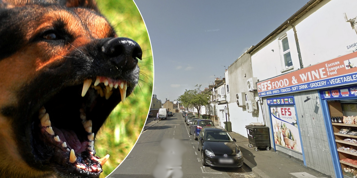 NextImg:Man mauled to death by 'out of control' dog in London as woman charged with dangerous dog offences