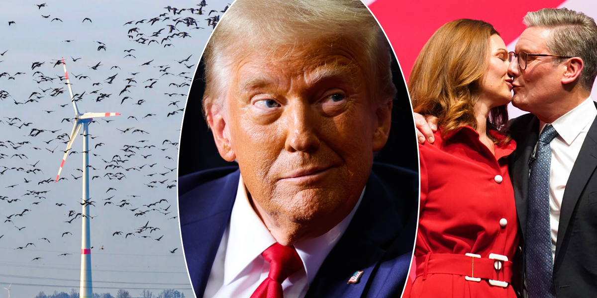 NextImg:Trump 'became fixated on birds flying into wind turbines' and labelled Starmer's wife 'beautiful' in pre-Christmas call with PM