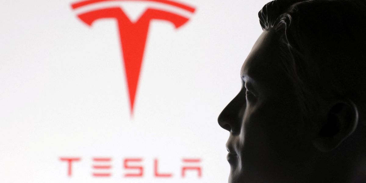 NextImg:Elon Musk promises new, cheaper electric vehicles after warning of 'pivotal year' for Tesla
