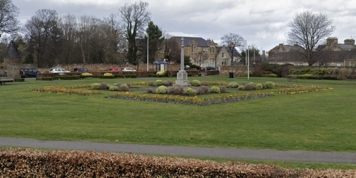 NextImg:War memorial flower beds ditched by councils in bid to save money