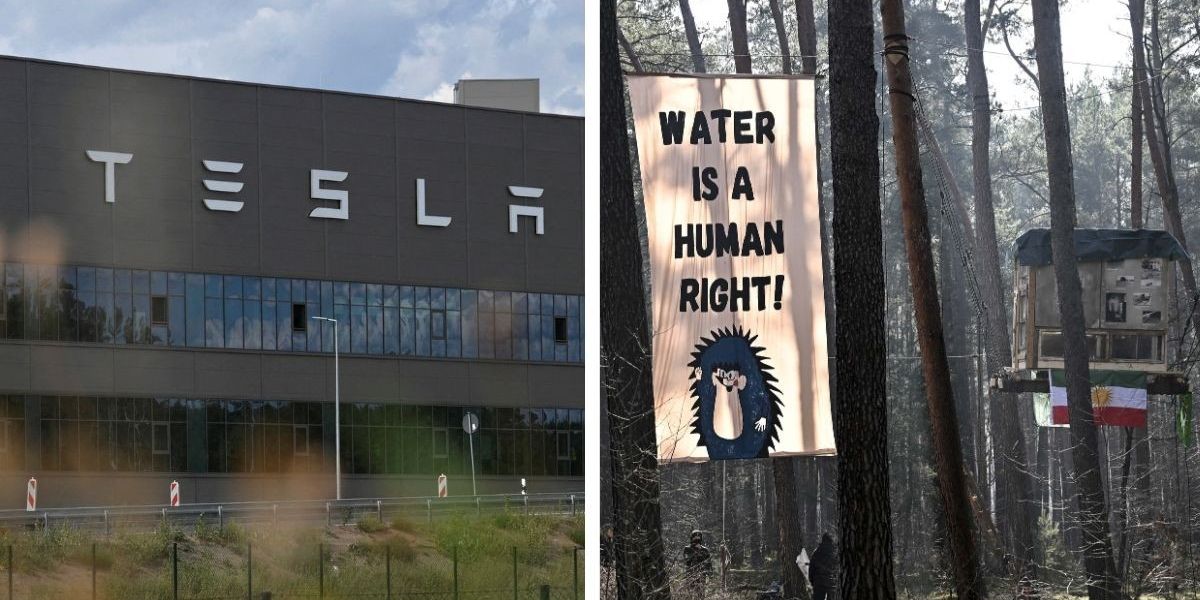 NextImg:Tesla forced to halt production of electric cars after 'arson attack' amid huge environmental protests