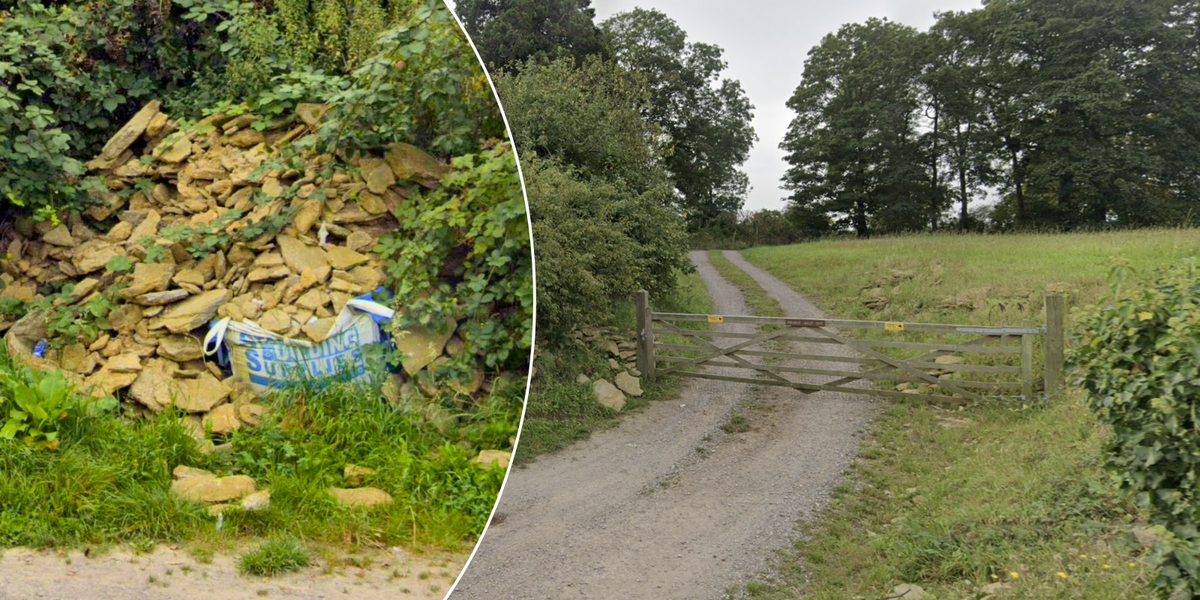 NextImg:Farmer facing seven years of 'living nightmare' as local council threatens him for knocking down 'historic' wall he built himself
