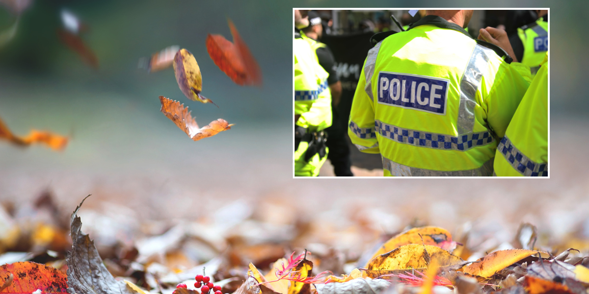 NextImg:Pensioner threatened with criminal action after neighbour's drive was littered with leaves from trees in a park