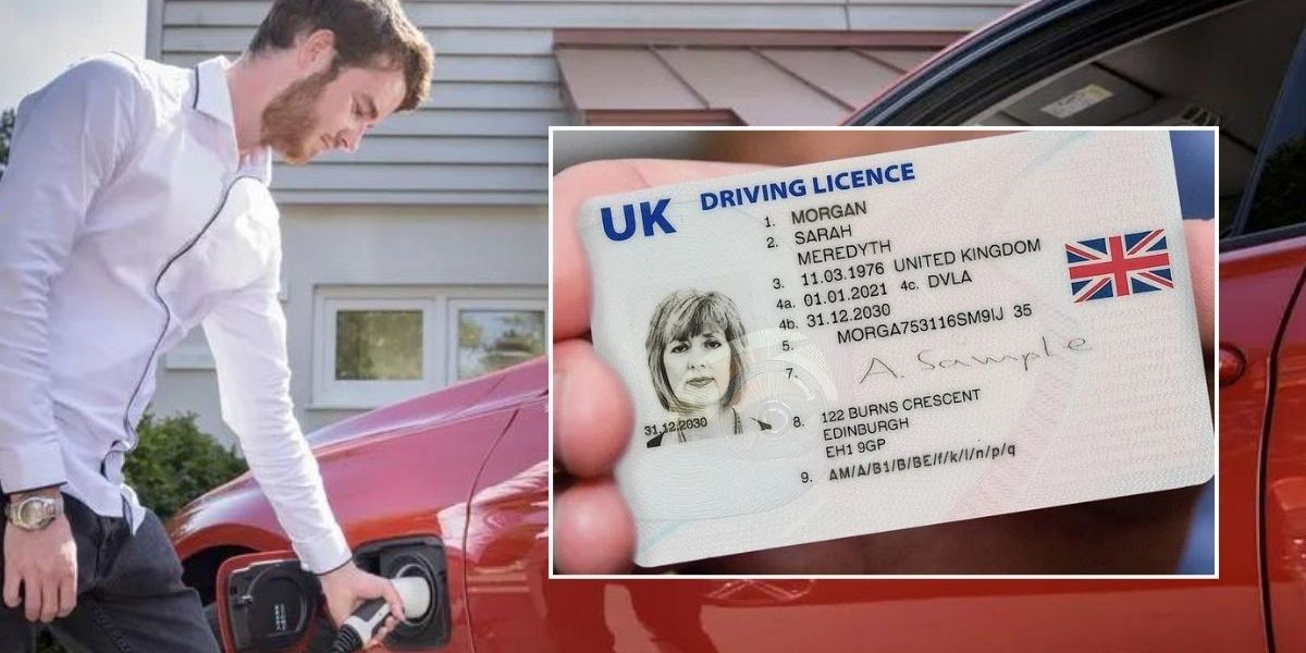 NextImg:Driving law changes you may have missed in November - New licence rules, electric cars and more