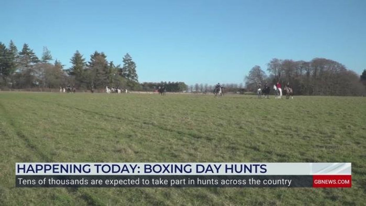 Landowners handed new powers to shoot deer as numbers surge - with venison to be served up in schools