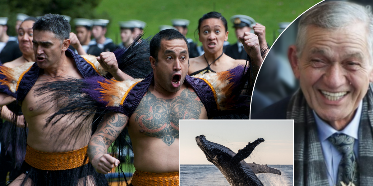 NextImg:'Whales are HUMANS' say native leaders in push for legal rights for the giant mammal