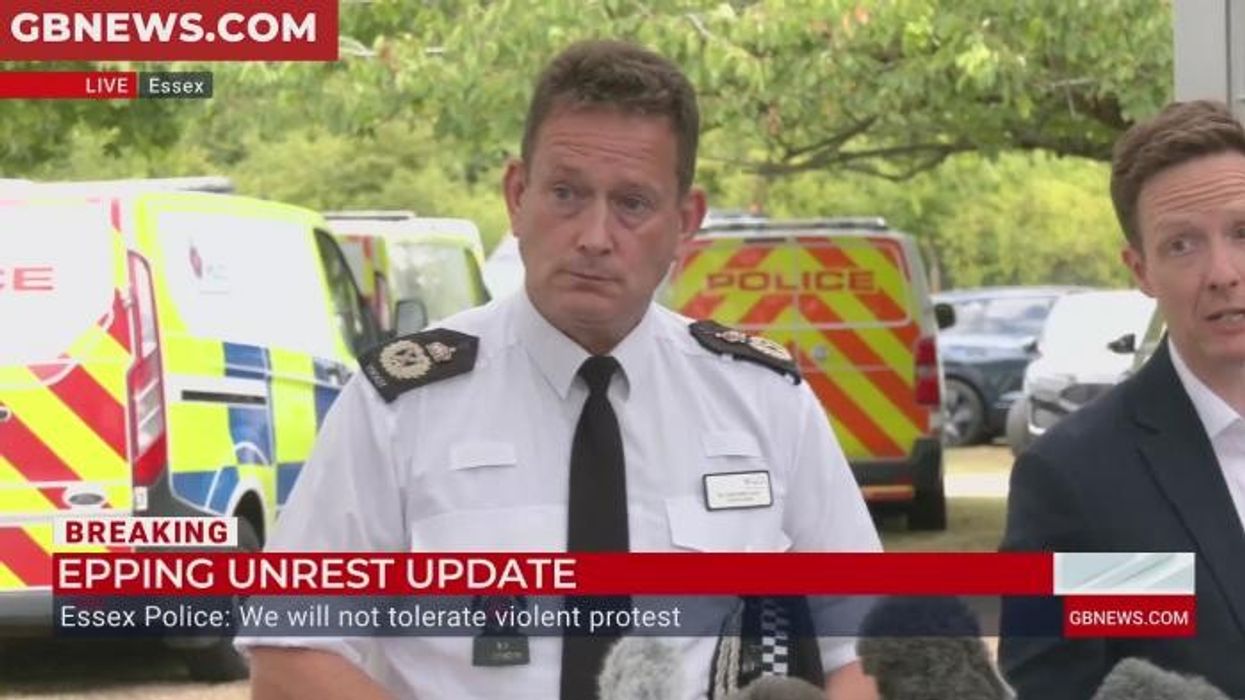 Police labelled 'embarrassing' after 'boasting' about escorting family of swans out of harm’s way