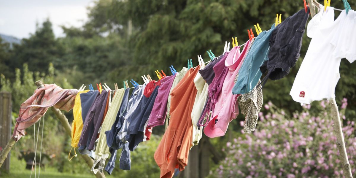 NextImg:Pensioner becomes embroiled in legal battle with neighbour over washing lines in communal garden - 'It's a complete waste of time!'