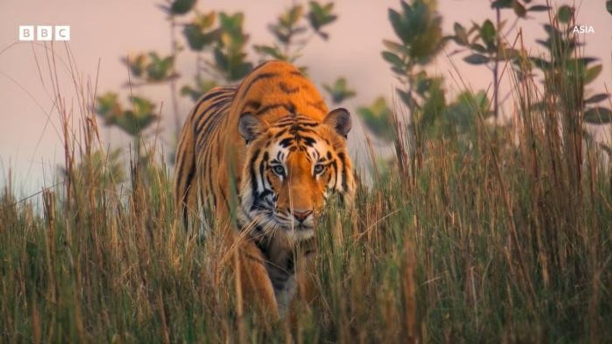 BBC breaks silence on Sir David Attenborough, 98, concern as fans spot 'not quite right' feature in TV return