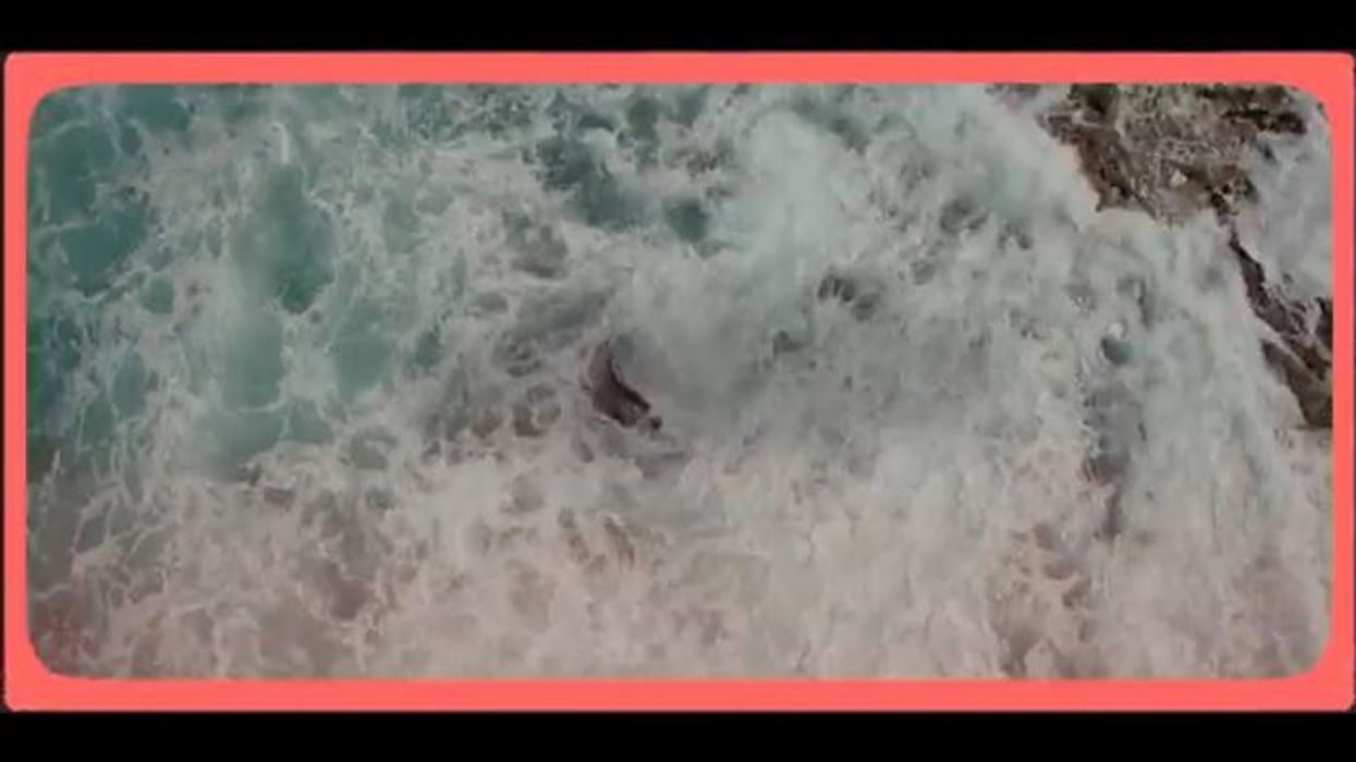 Trevor Eve, 73, makes stance clear on rebooting hit drama BBC Shoestring 40+ years after axe: 'I had the rights!'