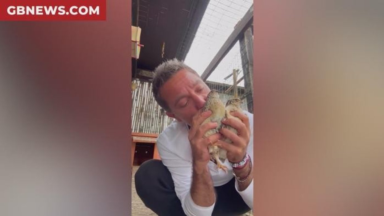 Gino D'Acampo sparks outrage with 'disturbing' cooking video as fans vow to 'unfollow' chef amid string of controversies