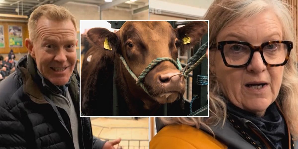 NextImg:BBC Countryfile viewers demand ‘trigger warnings’ after graphic segment on show: ‘I was eating my tea!’