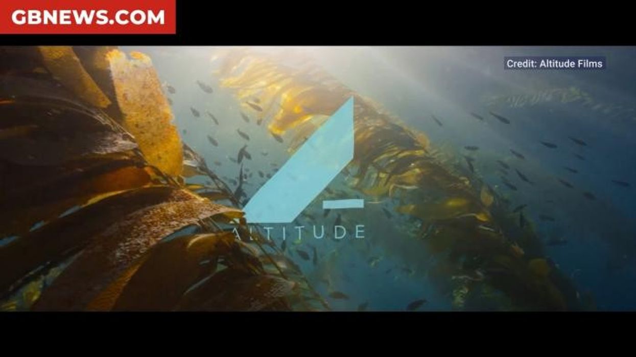 David Attenborough, 98, makes harrowing prediction about future ahead of landmark milestone: 'Out of time'