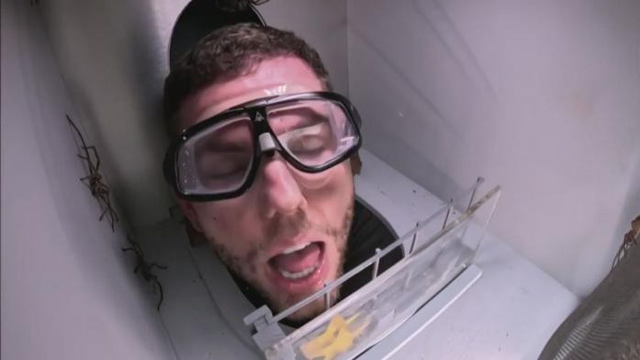 Dean McCullough causes tensions to flare as he ‘disappears’ from ITV I’m A Celebrity duties once again: ‘Shots fired!’