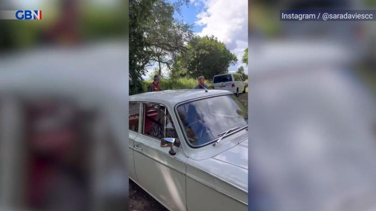 BBC Dragons' Den viewers admit 'I'm lost' as AI pitch praised by Dragons leaves them perplexed: 'What?'