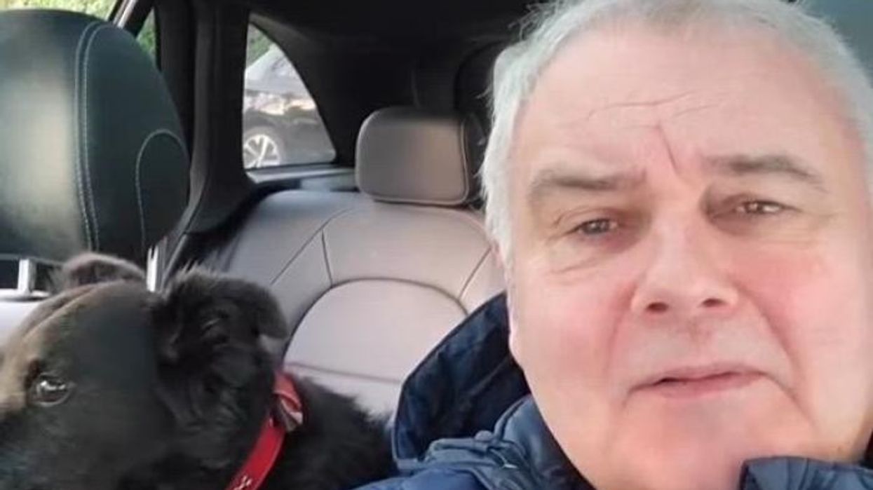 Eamonn Holmes showered with support as he reunites with beloved dog in sweet clip