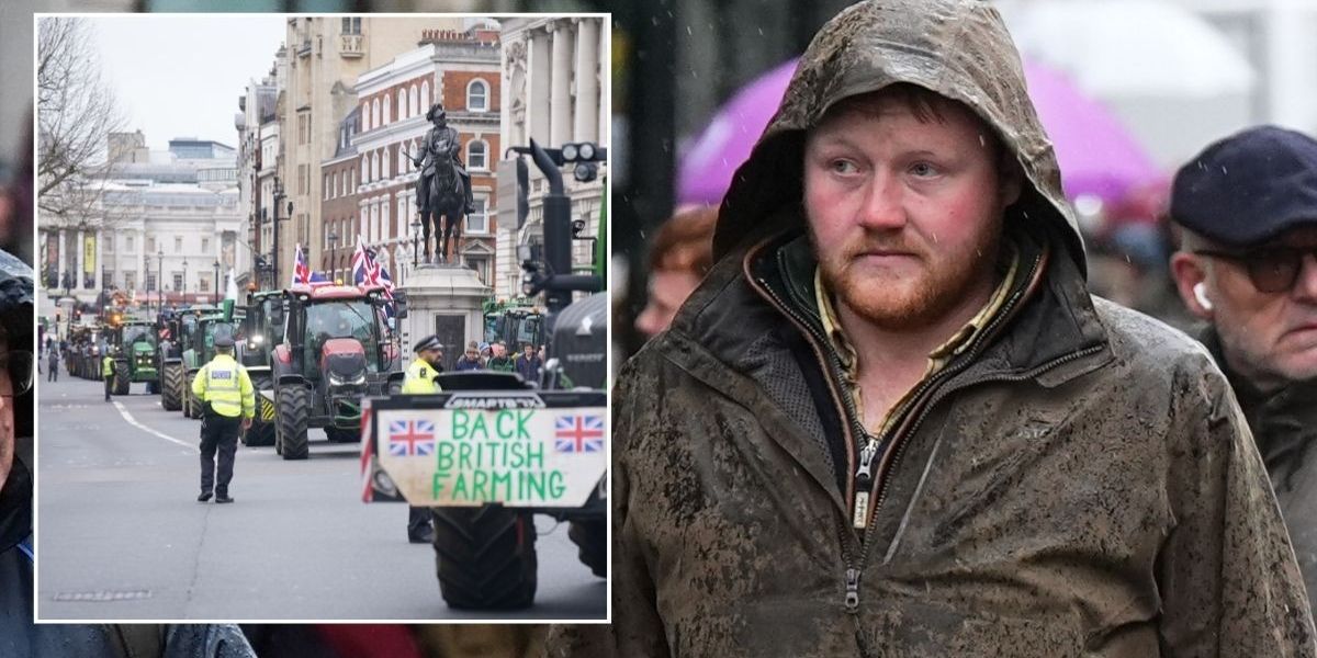 NextImg:Kaleb Cooper sends clear message amid farmers' protests as Clarkson's Farm star shows solidarity
