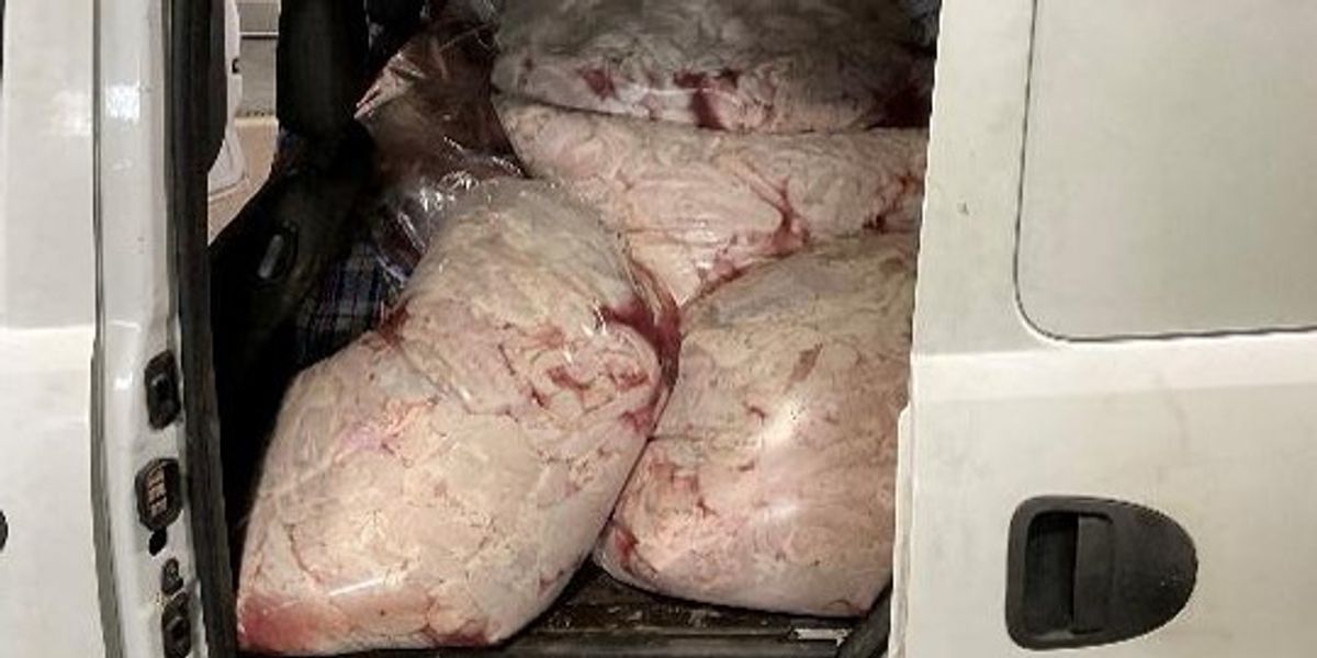 NextImg:Dover officials conduct hundreds of illegal meat seizures but confirm ZERO arrests