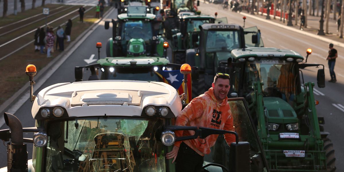 NextImg:‘Europe’s farmer protests are coming to the UK – and Labour are to blame,’ says Andrew RT Davies