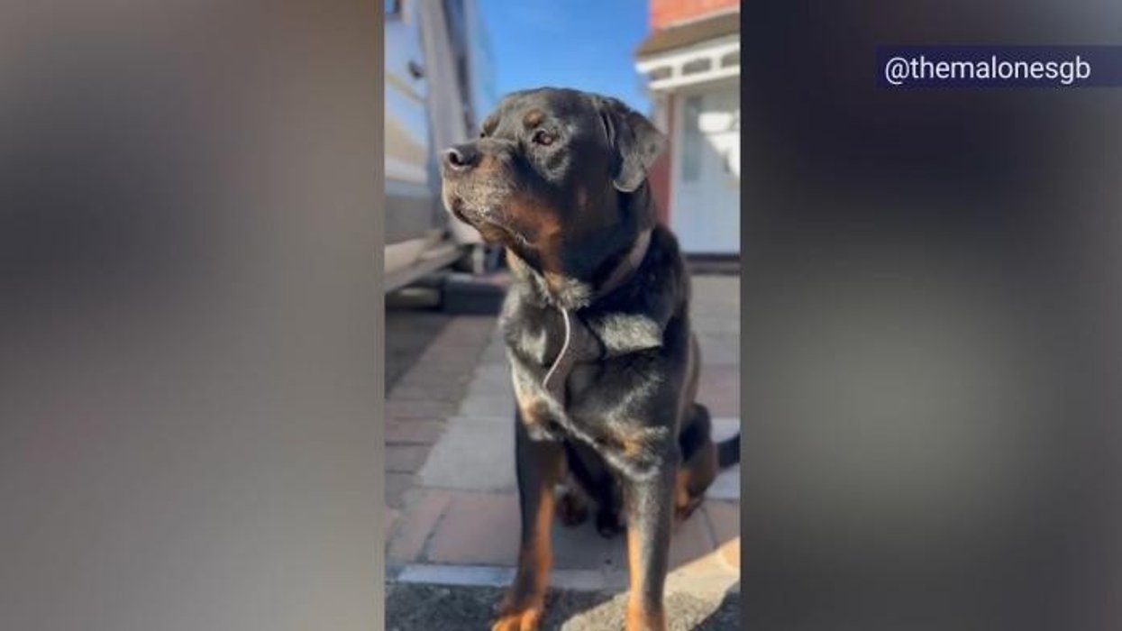 Gogglebox family leave fans heartbroken as they share grief update days on from Channel 4 stars' sad loss