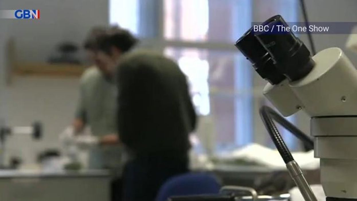 English Heritage blasted as 'totally misguided' after branding Hadrian's wall 'gay icon'