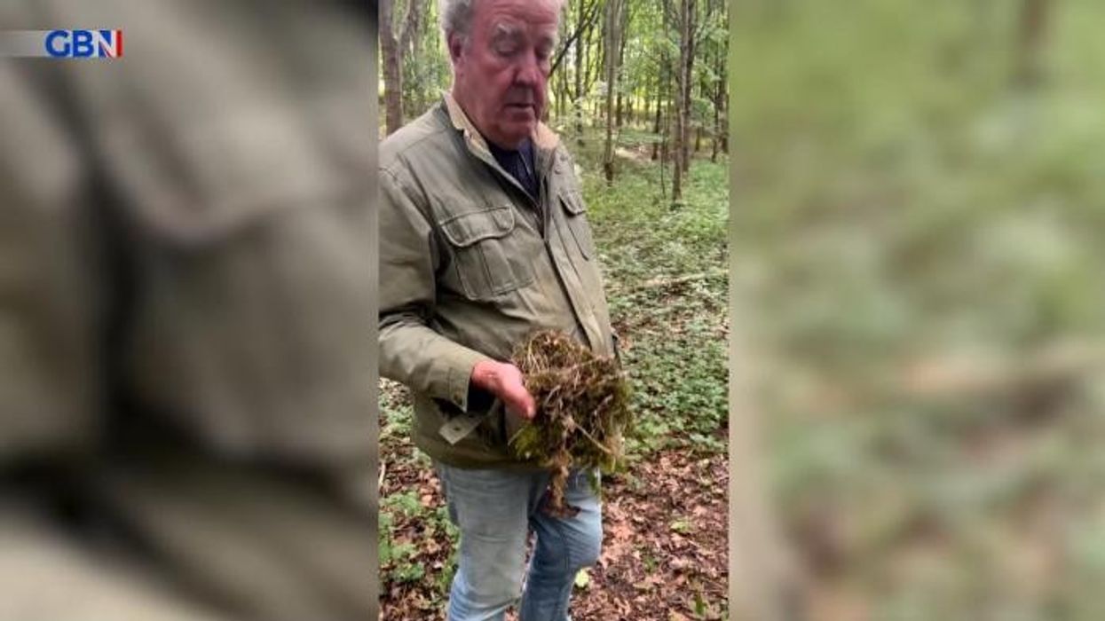 Jeremy Clarkson, 64, fans rush to star's defence as he faces backlash for pet dog's health issue: 'Common sense!'