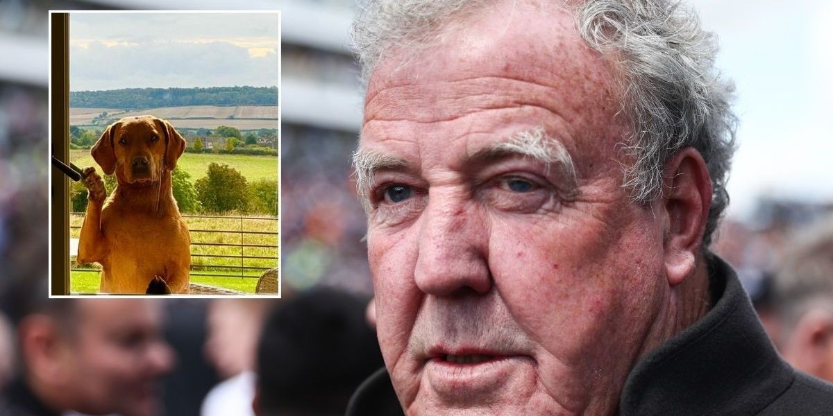 NextImg:Jeremy Clarkson, 64, fans rush to star's defence as he faces backlash for dog's health woe: 'Common sense!'