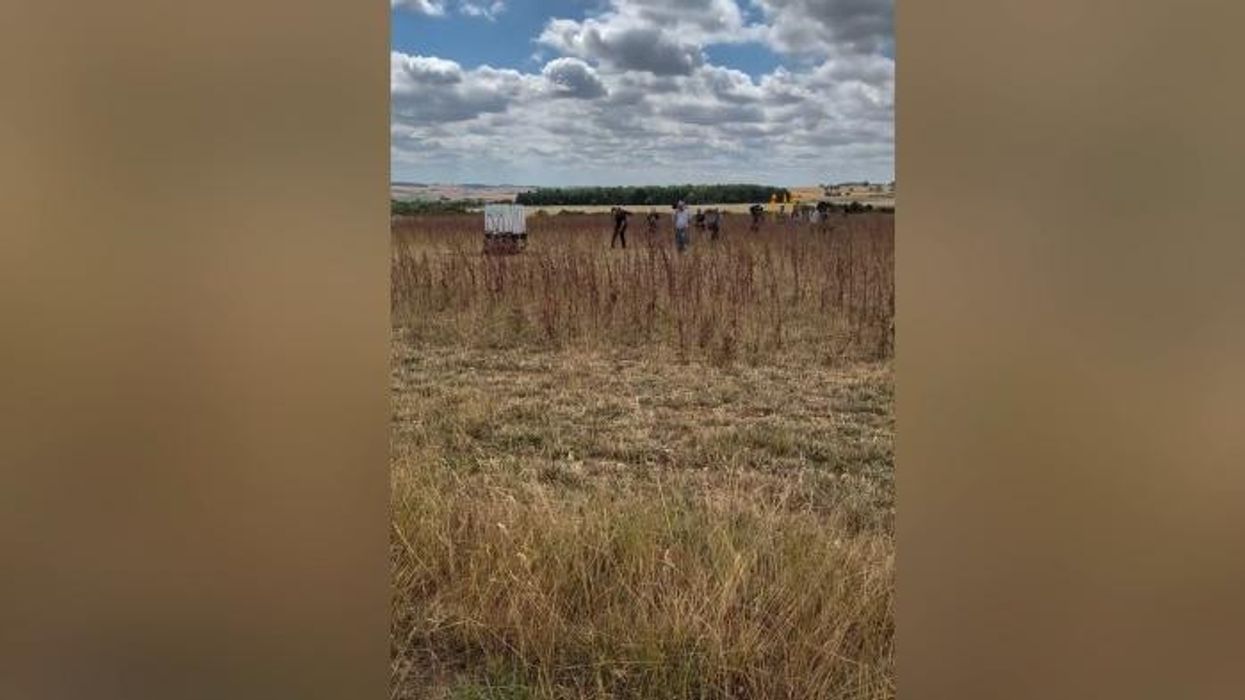 Clarkson's Farm fans overjoyed as Lisa Hogan announces exciting Diddly Squat pregnancy news: 'Congratulations!'