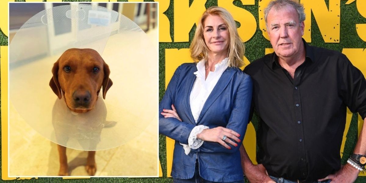 NextImg:Jeremy Clarkson in terrifying vets dash as pet dog rushed to surgery after Diddly Squat incident