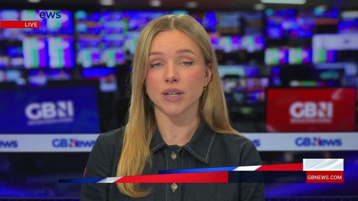 Elon Musk rages at 'messed up' liberal comedy show audience as they applaud 'domestic terrorism' at Tesla stores