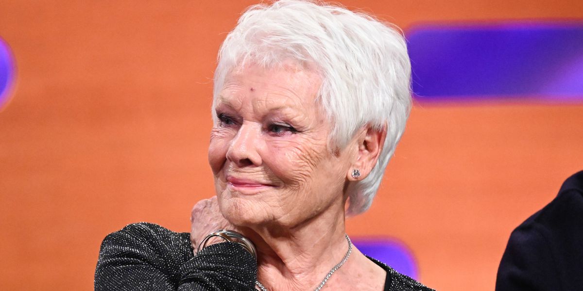 NextImg:Judi Dench, 89, brilliantly rips apart PC trigger warnings on old shows: 'If you're that sensitive - DON'T GO!'