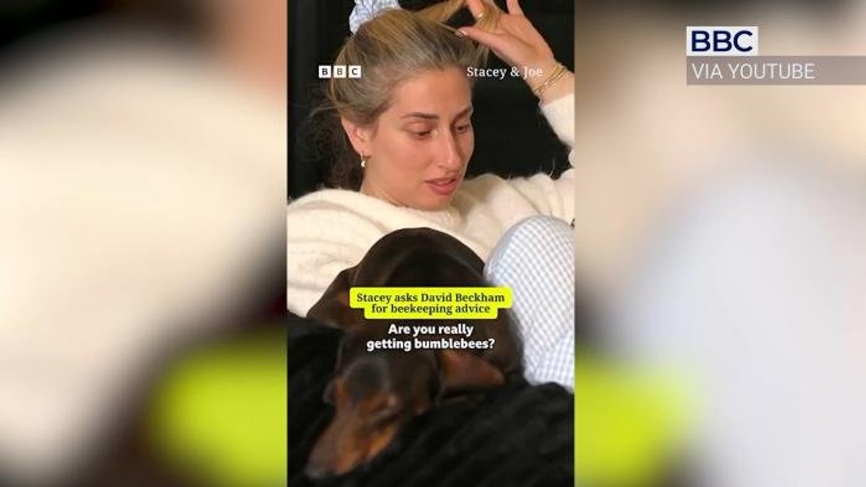 Stacey Solomon's plea for help from Beckhams prompts 'hilarious' response as David and Victoria share sweet gesture