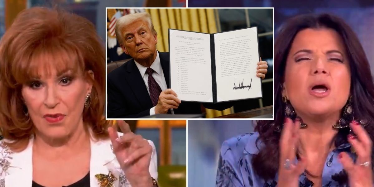 NextImg:ABC The View 'hypocrisy' row explodes as panel defends Biden pardons while Trump branded ‘spineless’