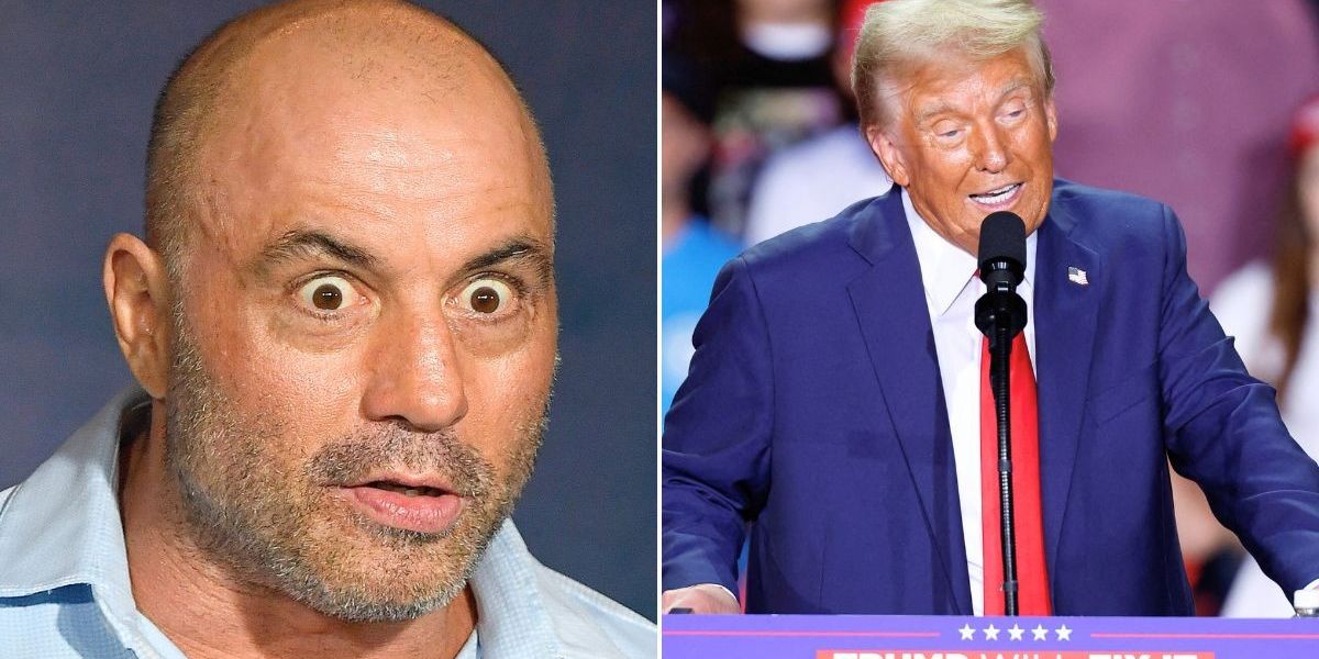 Joe Rogan throws endorsement behind Donald Trump on eve of US election ...