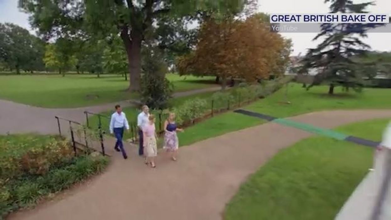 BBC Only Connect fans left distracted by Victoria Coren-Mitchell's 'odd' appearance: 'Is she lost?'