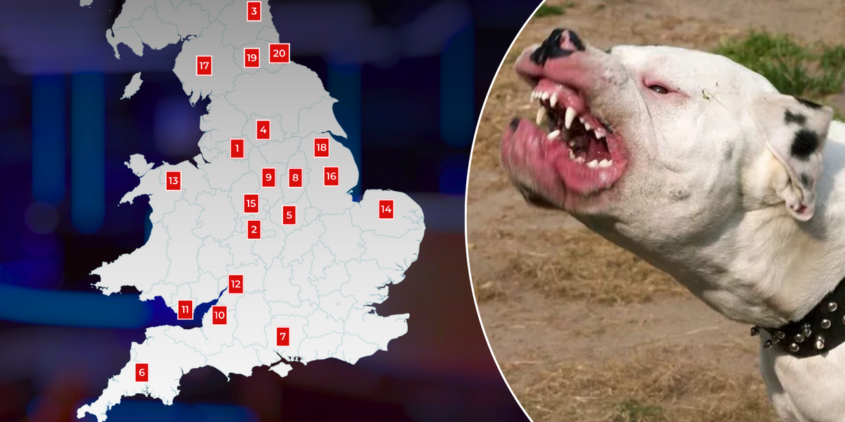 NextImg:Dangerous dogs mapped: Hotspot areas where most dogs are seized by police with 114 taken each week