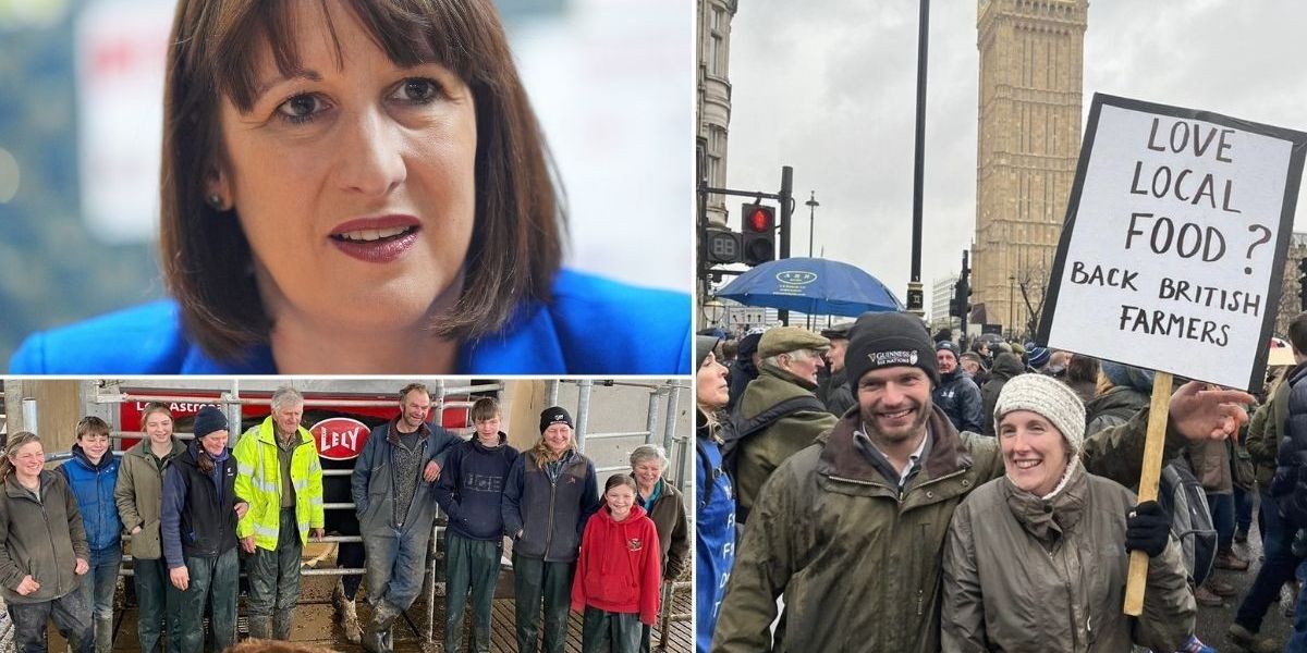 NextImg:‘Final nail in the coffin!’ Kent farmers issue 'heartbreaking' plea to Reeves over ‘disastrous’ inheritance tax raid