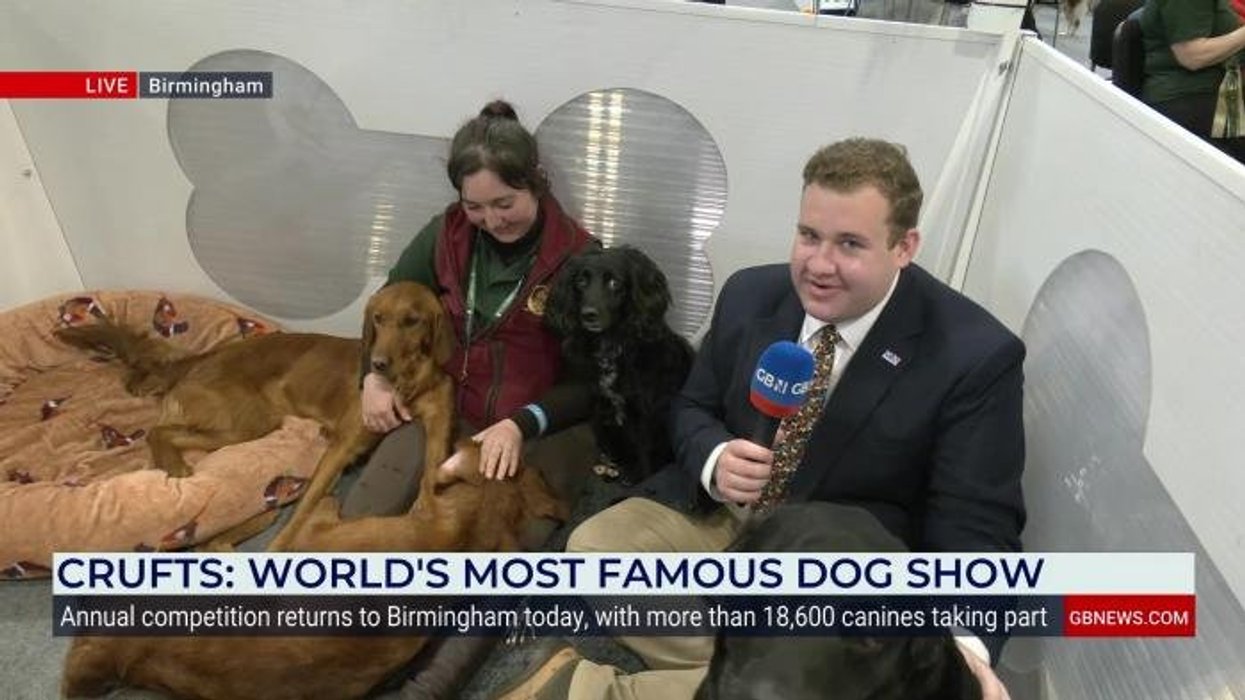 Schoolgirl, 11, returns to Crufts with beloved dog just three years after battling cancer during first appearance